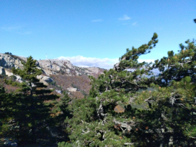 ⛰️ Ай Петри / Восхождение 🧗 100+ фото