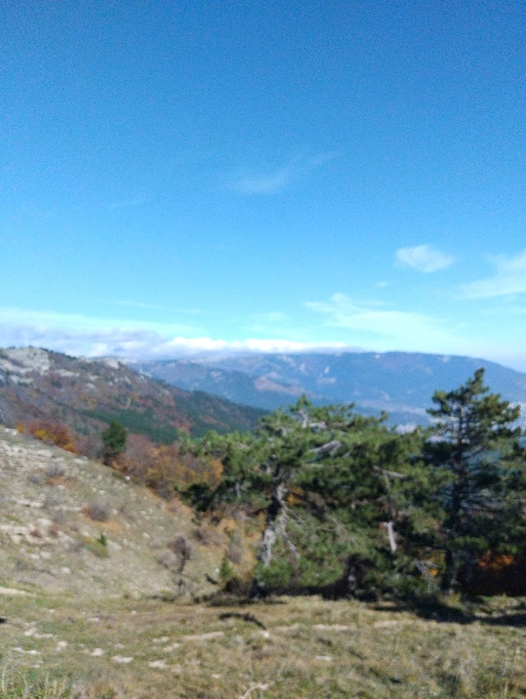 ⛰️ Ай Петри / Восхождение 🧗 100+ фото