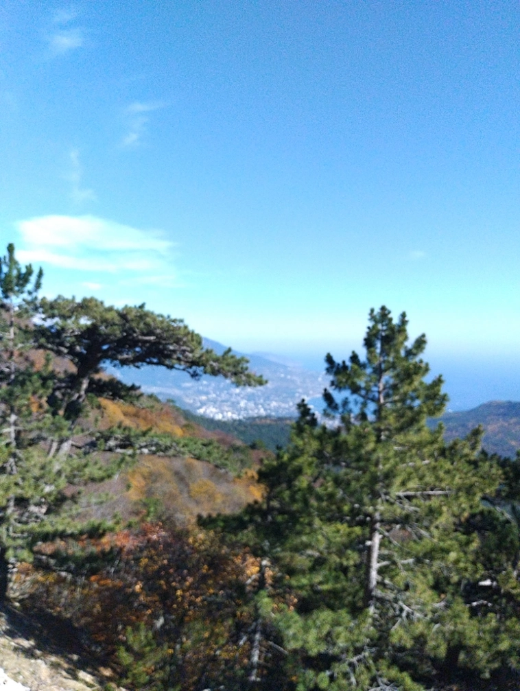 ⛰️ Ай Петри / Восхождение 🧗 100+ фото