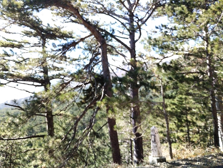 ⛰️ Ай Петри / Восхождение 🧗 100+ фото