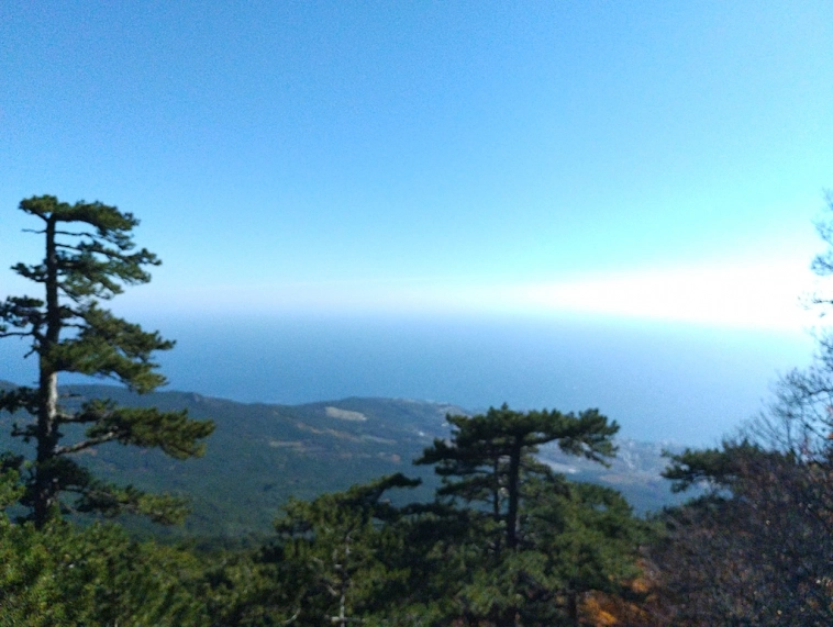 ⛰️ Ай Петри / Восхождение 🧗 100+ фото