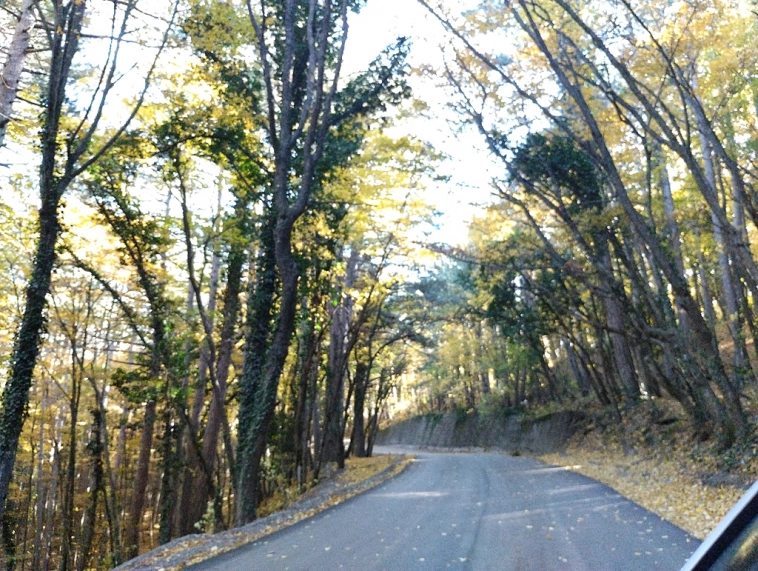 ⛰️ Ай Петри / Восхождение 🧗 100+ фото