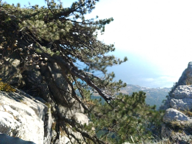 ⛰️ Ай Петри / Восхождение 🧗 100+ фото