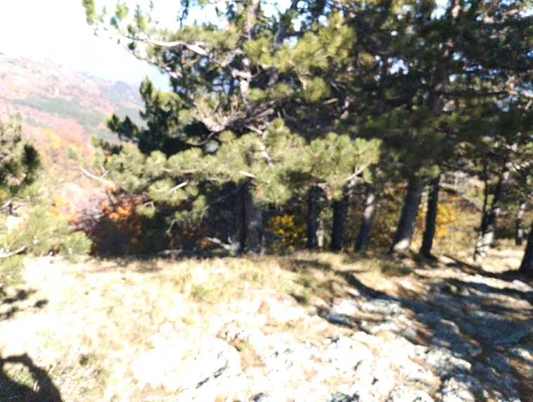 ⛰️ Ай Петри / Восхождение 🧗 100+ фото