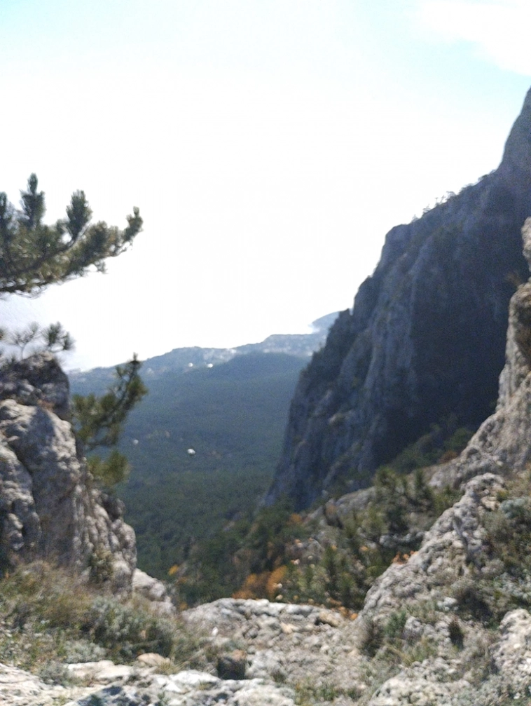 ⛰️ Ай Петри / Восхождение 🧗 100+ фото