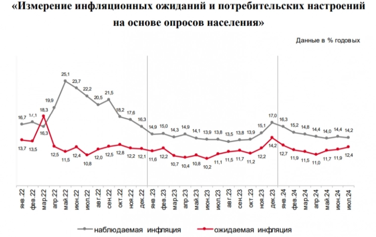 Инфляция к середине июля замедлилась, но на топливном рынке намечается кризис и потребительская активность бьёт рекорды в 2024 г