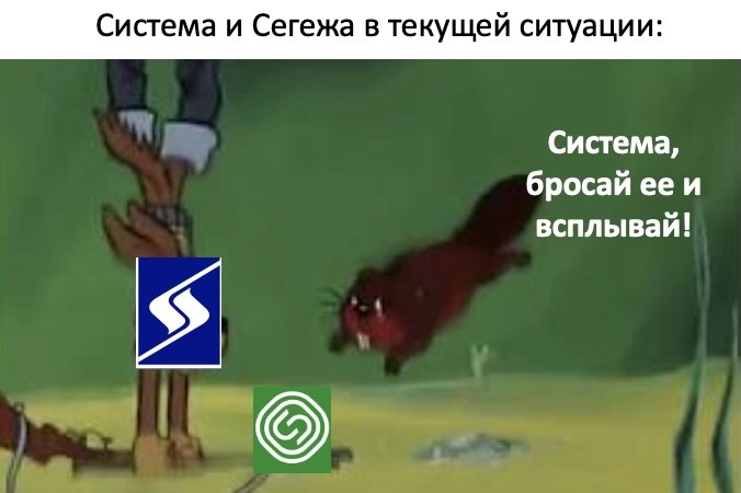 Сегежа . Тянет на дно весь холдинг