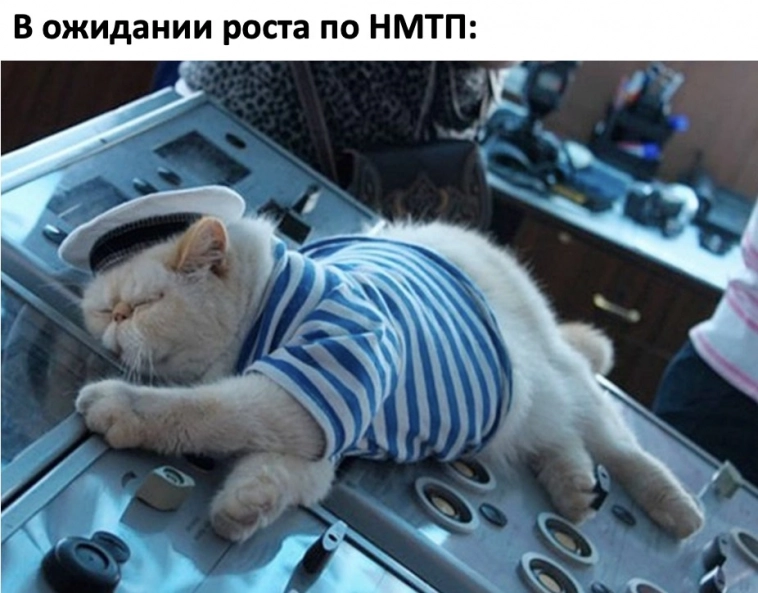 НМТП. Очищение пройдено