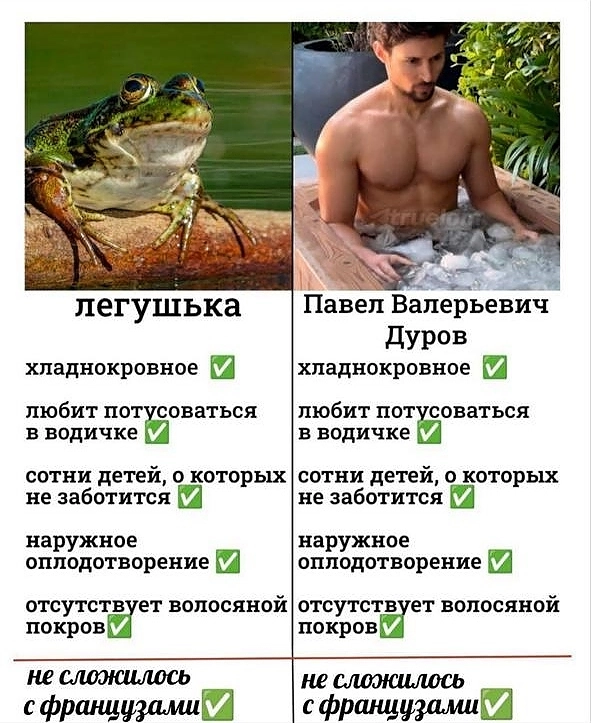 Лягушка и Павел Дуров