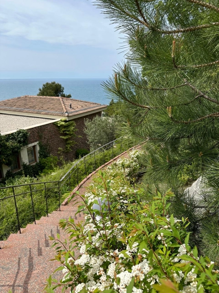 14 дней РАЯ в лучшем 5* отеле России 🌞Спасибо идеям от Mozgovik research❤️ 14 дней РАЯ в лучшем 5* отеле России 🌞Спасибо идеям от Mozgovik research❤️