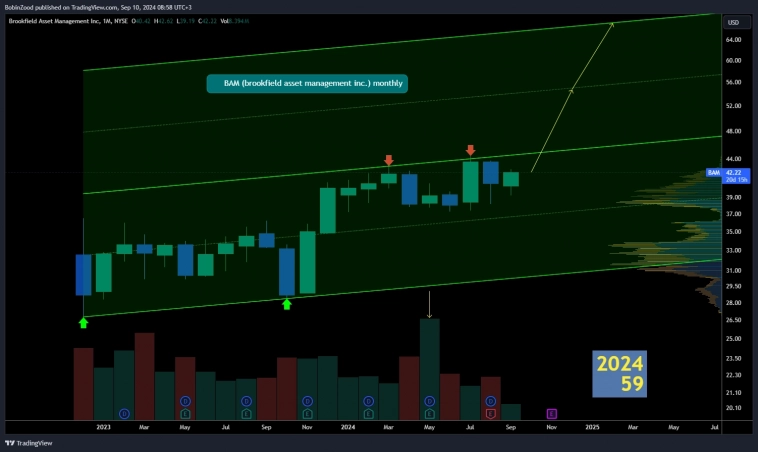 202459 BAM brookfield asset management inc.