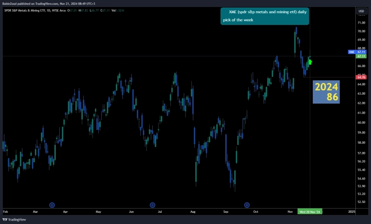 202486 XME spdr s&p metals & mining etf