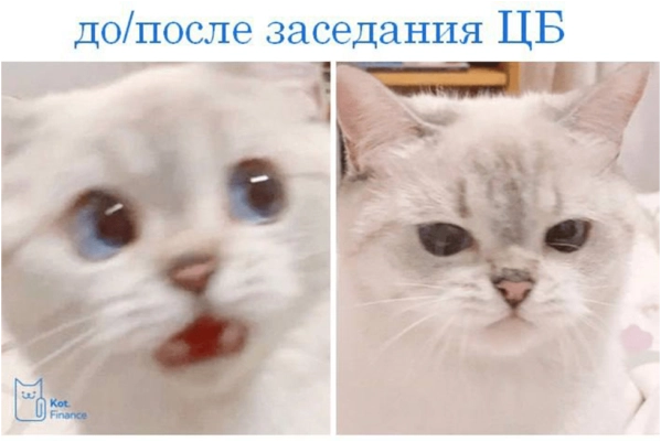 Как заработать на ключевой ставке и причем здесь циклы? 🌀