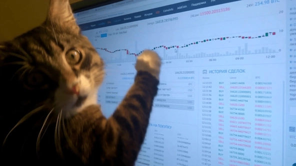 ⭐️Итоги недели на рынках🐾 ⭐️Итоги недели на рынках🐾