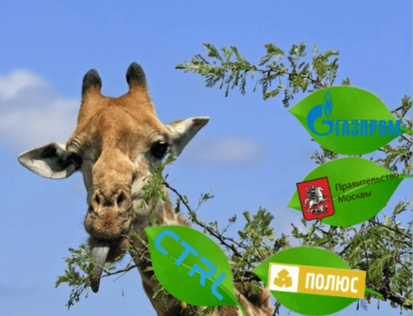 🦒 Самые длинные облигации📐 🦒 Самые длинные облигации📐