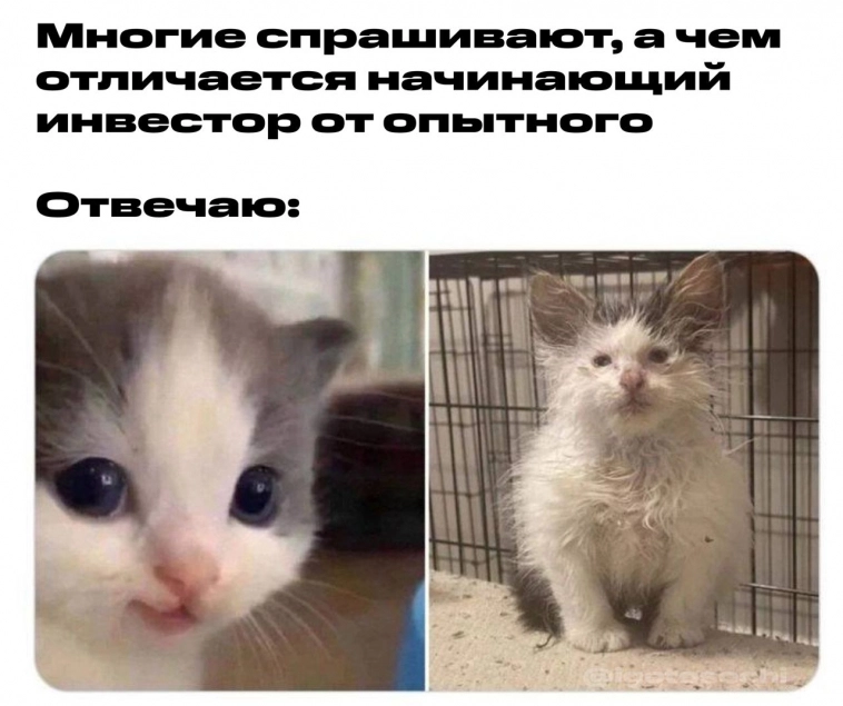 Итоги 3 лет инвестиций. 4,02 млн рублей