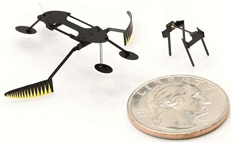 Американские инженеры создали насекомообразных мини-роботов — самых миниатюрных, легких и быстрых
