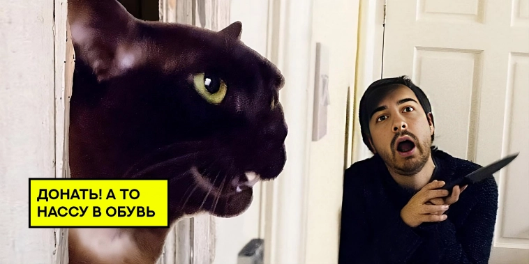 Как я инвестировал 220224 рублей в проект CATS. Зализываем раны после хомячатины. Метод Виктора Коха