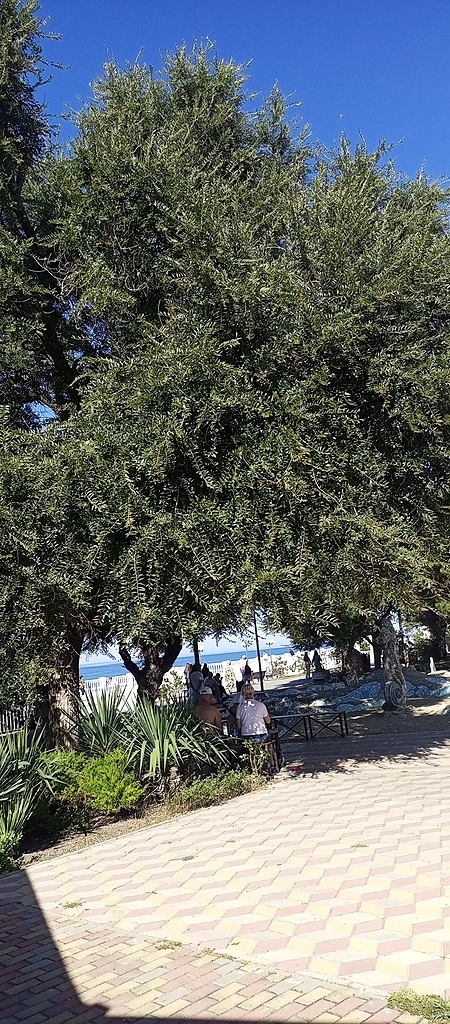 Отдых в Сочи для инвестора