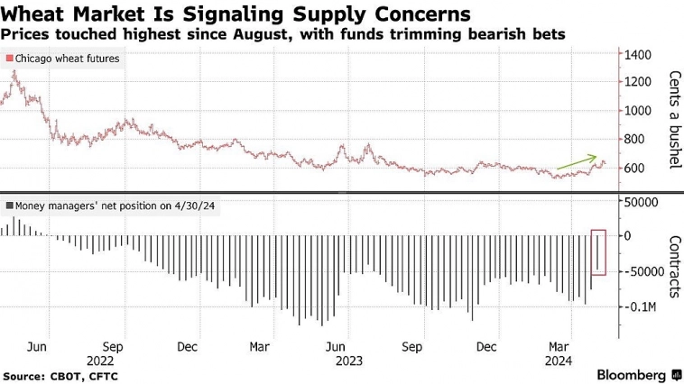 Новости. Засуха.