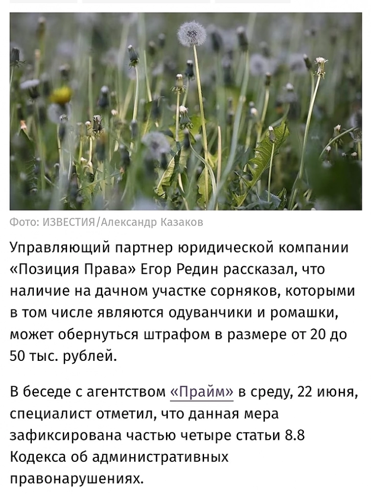 Новости. Отчёты.