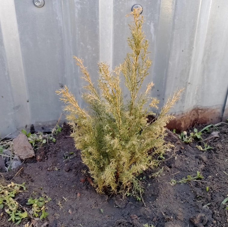 Заячьи новости 21.03.24 Заячьи новости 21.03.24