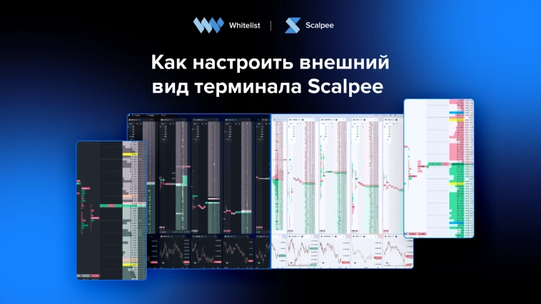 Как сменить тему в терминале для скальпинга Scalpee