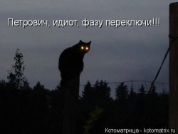 Ну, И че дальше?