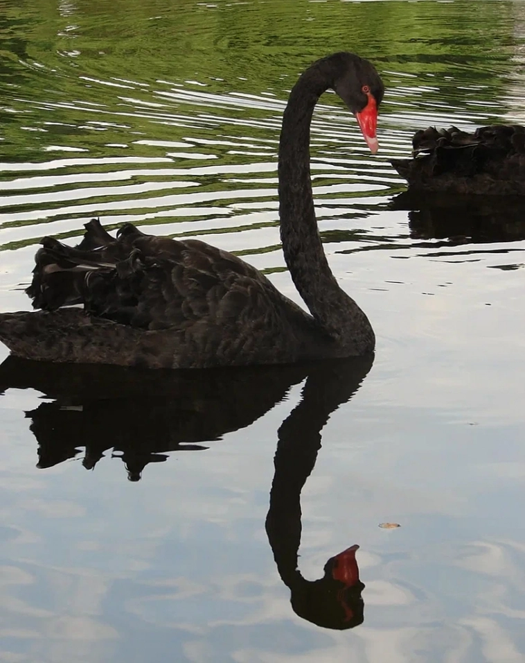 Московская биржа с сегодняшнего дня прекращает торги доллара и евро! Московская биржа с сегодняшнего дня прекращает торги доллара и евро!