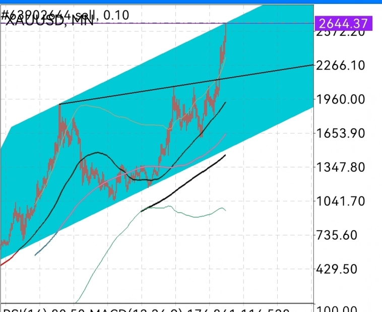 🥇 Золото 🥇 шорт 2647