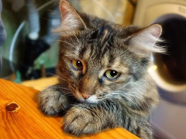 Kaк в 1998 нaшa ceмья почти oкaзaлacь нa улицe без денег