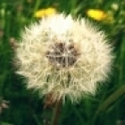 Виталий Литвинов