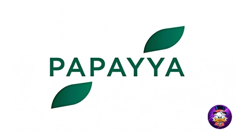 Оператор карт «Мир» начал регистрацию платежного бренда Papayya