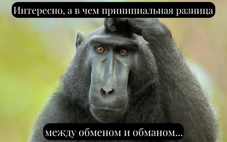 🤣 Состояние души — инвестор Яндекса 🤣