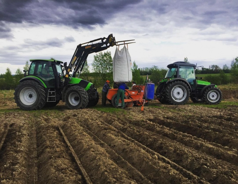 Сколько можно заработать и потерять на картошке? Мой опыт на поле размером с Ватикан Сколько можно заработать и потерять на картошке? Мой опыт на поле размером с Ватикан