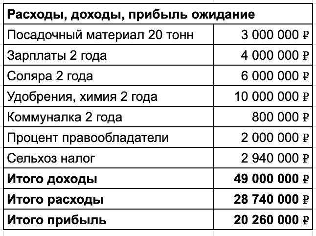 Сколько можно заработать и потерять на картошке? Мой опыт на поле размером с Ватикан Сколько можно заработать и потерять на картошке? Мой опыт на поле размером с Ватикан