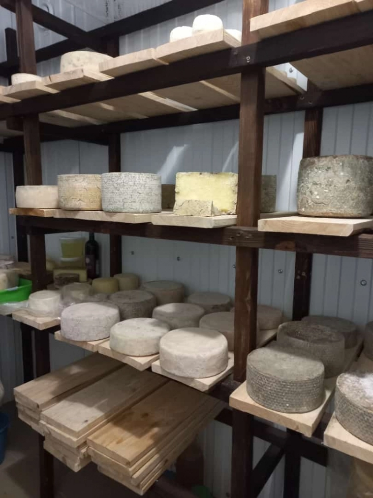 Как государство дало мне 4 млн на бизнес в деревне, и теперь я работаю по 16 часов без выходных, спасибо