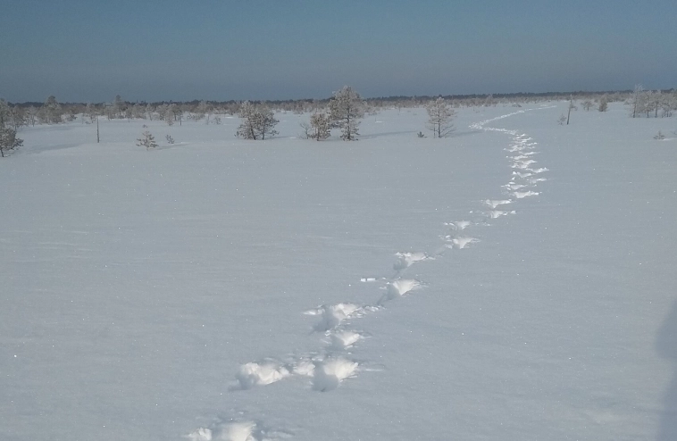 Я продаю 120 тонн дичи в год, и каждый месяц меня пытаются закрыть Я продаю 120 тонн дичи в год, и каждый месяц меня пытаются закрыть