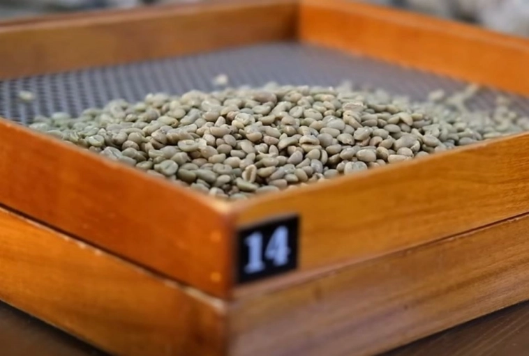 Как я нажарил косточек и продал на маркетплейсах на 36 млн в год Как я нажарил косточек и продал на маркетплейсах на 36 млн в год