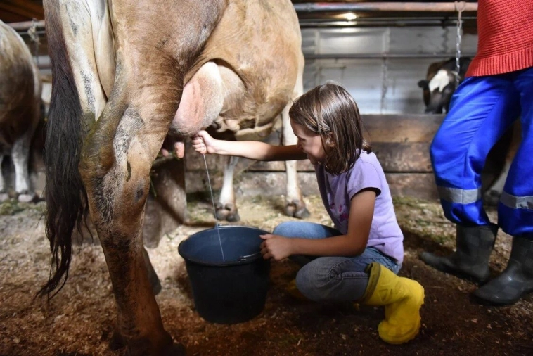 Как я потратил 250 миллионов в деревне Как я потратил 250 миллионов в деревне