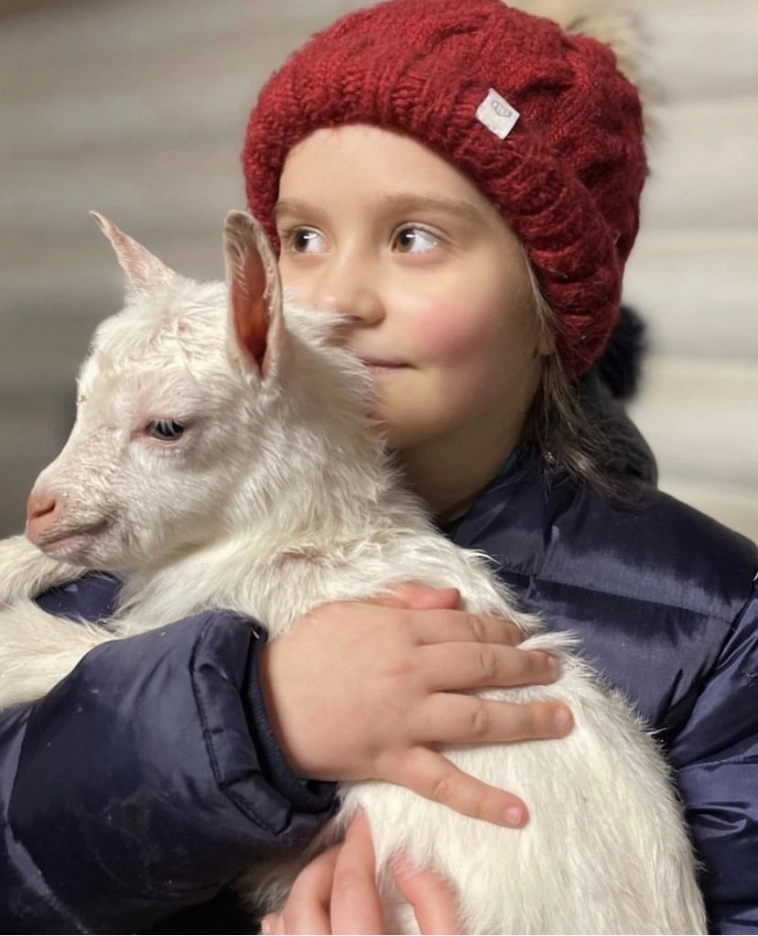 Как я потратил 250 миллионов в деревне Как я потратил 250 миллионов в деревне