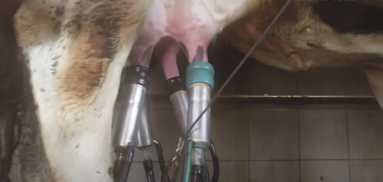 Как я потратил 250 миллионов в деревне Как я потратил 250 миллионов в деревне