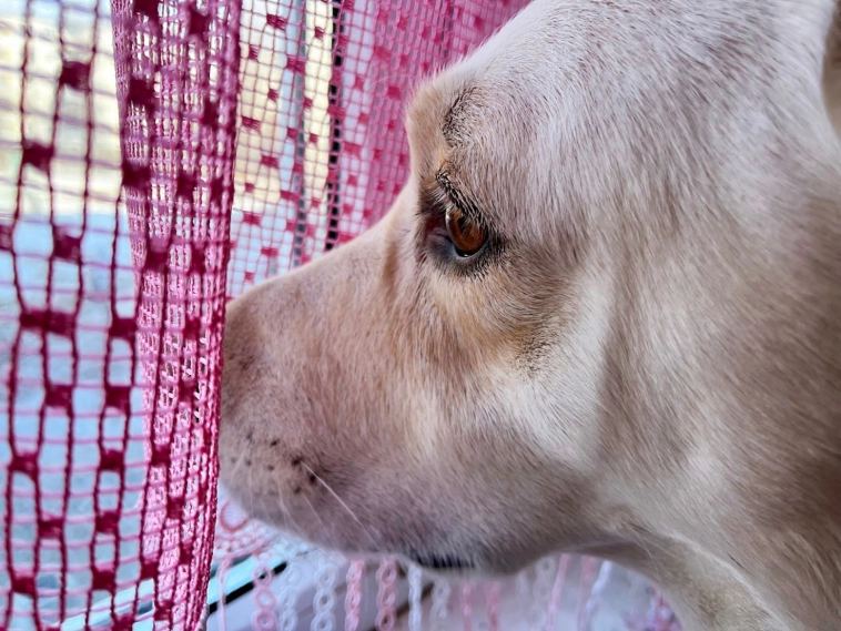 Как программист заставил суровых мужиков носить юбки и теперь продает без маркетплейсов на 24 млн в год Как программист заставил суровых мужиков носить юбки и теперь продает без маркетплейсов на 24 млн в год