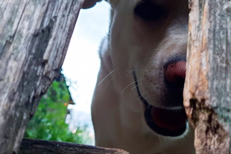 Как программист заставил суровых мужиков носить юбки и теперь продает без маркетплейсов на 24 млн в год Как программист заставил суровых мужиков носить юбки и теперь продает без маркетплейсов на 24 млн в год