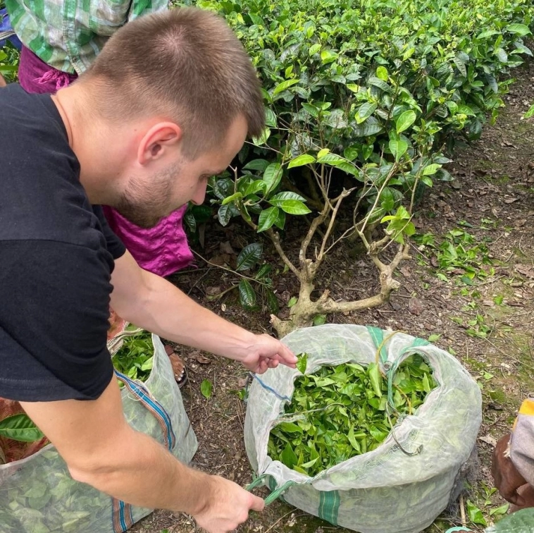 Как математик насушил листьев и продал на 20 млн в год на маркетплейсах