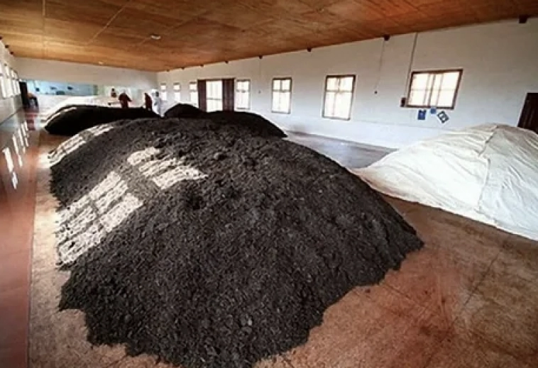 Как математик насушил листьев и продал на 20 млн в год на маркетплейсах