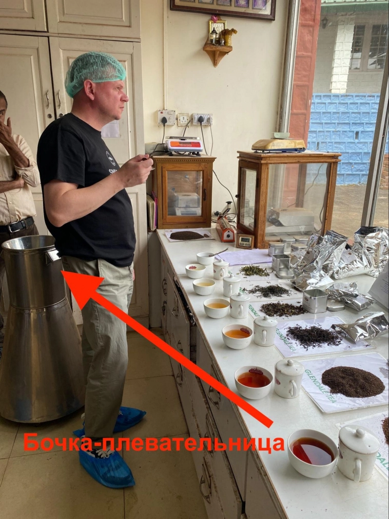 Как математик насушил листьев и продал на 20 млн в год на маркетплейсах