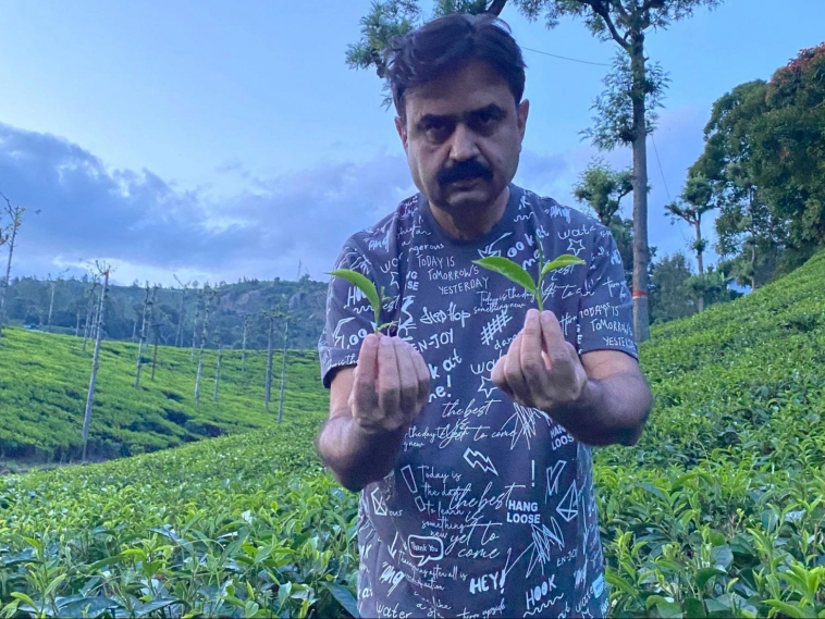 Как математик насушил листьев и продал на 20 млн в год на маркетплейсах