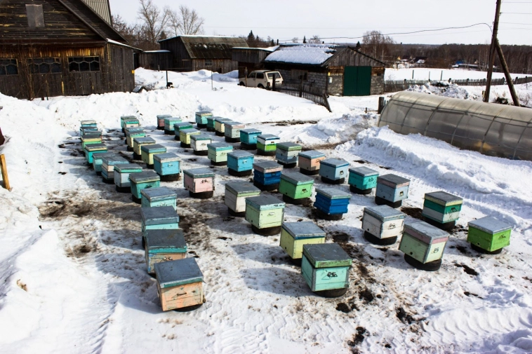 На производстве нет выходных, служебное жилье – каморка, работают за еду, а штат все равно растет