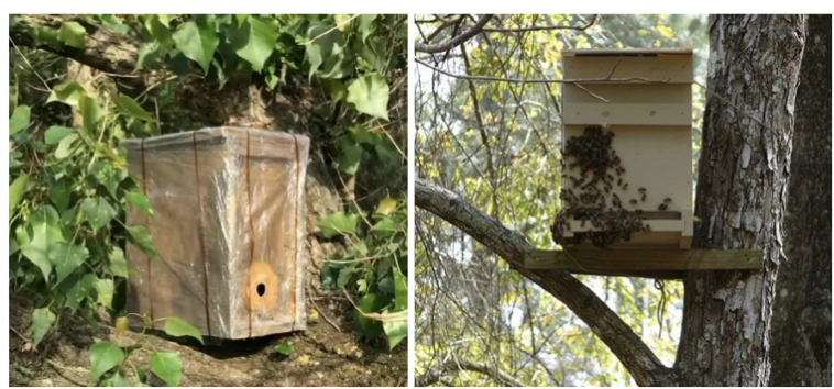 На производстве нет выходных, служебное жилье – каморка, работают за еду, а штат все равно растет